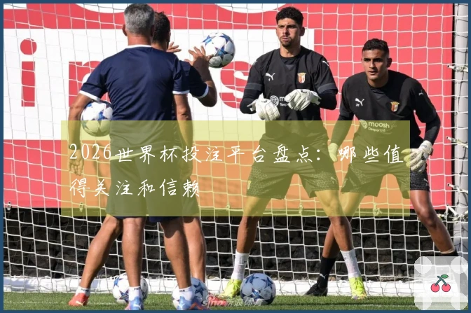 2026世界杯投注平台盘点：哪些值得关注和信赖