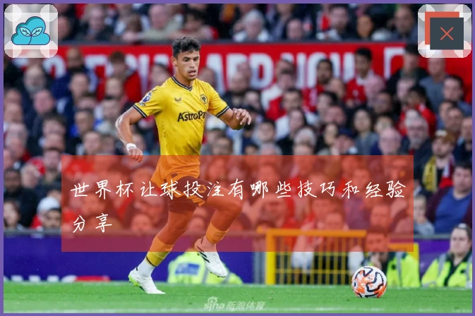 世界杯让球投注有哪些技巧和经验分享