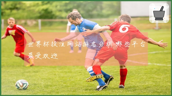 世界杯投注网站排名分析 哪些平台最受欢迎