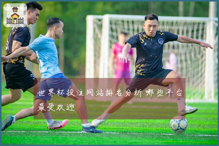 世界杯投注网站排名分析 哪些平台最受欢迎