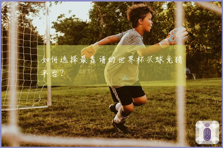 如何选择最靠谱的世界杯买球竞猜平台？