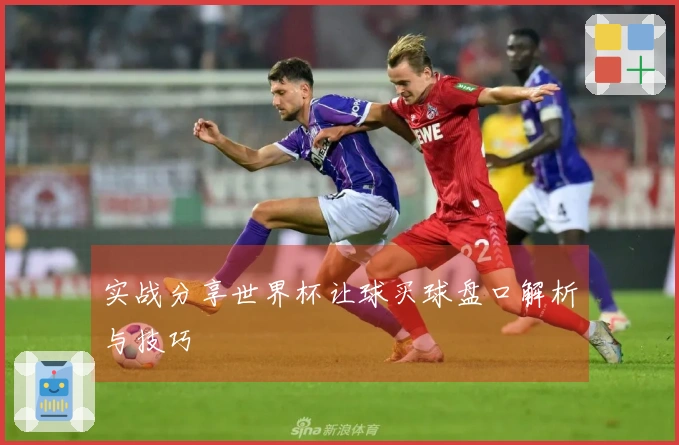 实战分享世界杯让球买球盘口解析与技巧