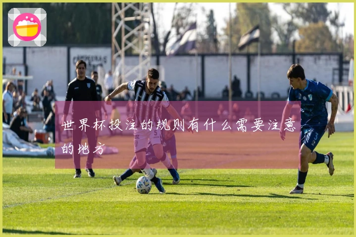 世界杯投注的规则有什么需要注意的地方