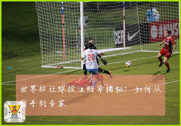 世界杯让球投注赔率揭秘：如何从新手到专家